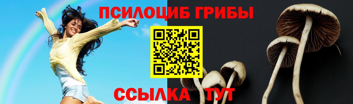 Псилоцибиновые грибы GOLDEN TEACHER Сыктывкар